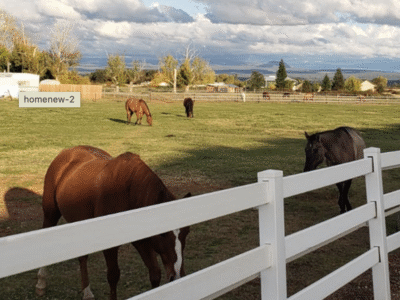 NorCal Riding Stables